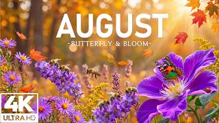 Beautiful Autumn in August 8K 🦋 Dancing Butterflies,Endless Flower Meadows & Peaceful Relaxing Music screenshot 5