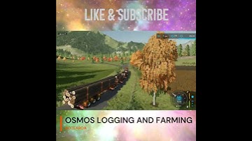 IF YOUR NOT LOADING LIKE THIS WE CANT BE FRIENDS #fs22  #gaming #kenworth #logging