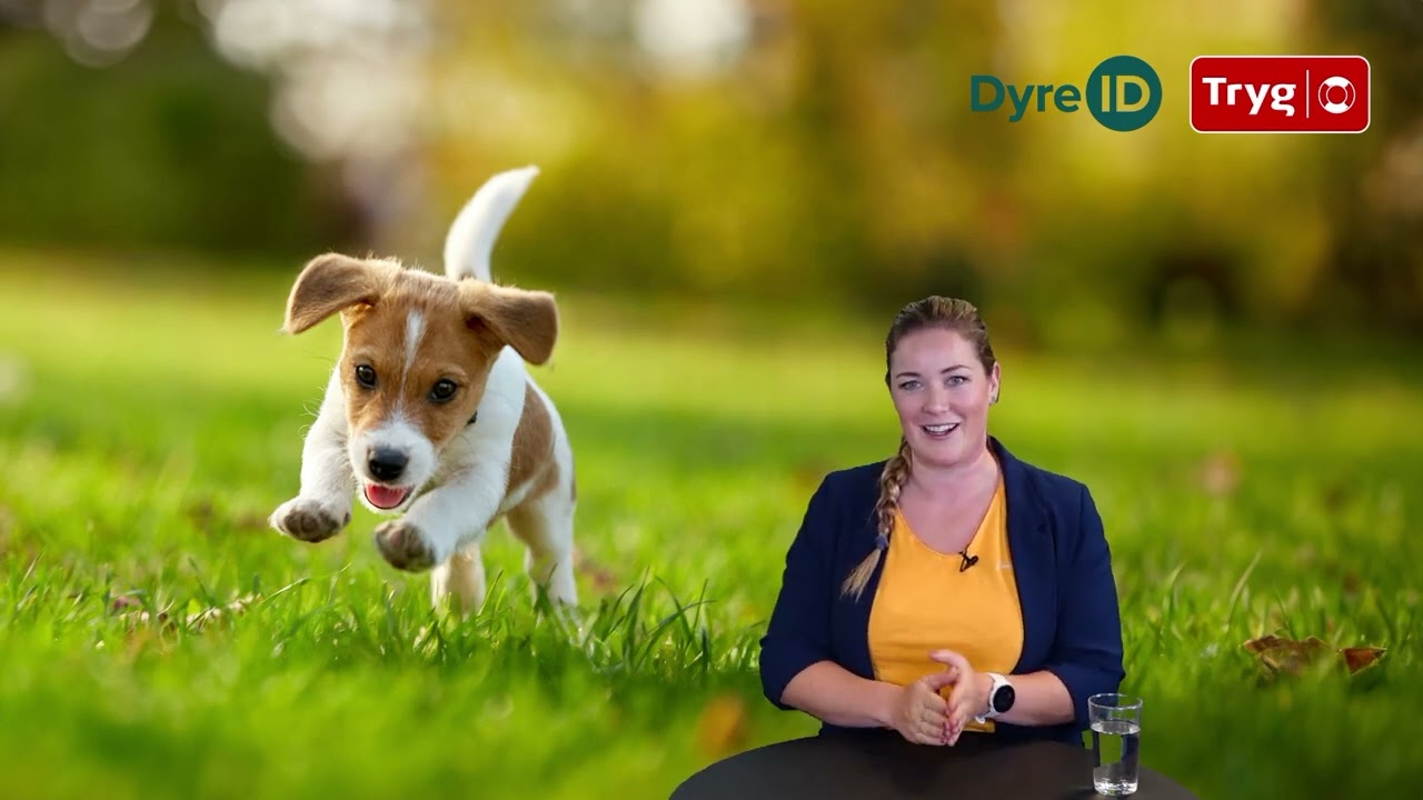 Webinar med Maren Teien Rørvik – DyreID og Tryg