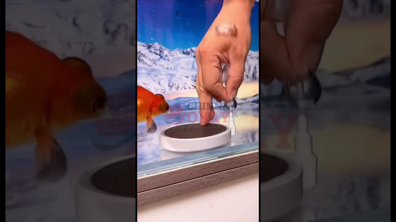 Air Bubble Disk Stone Aerator - идеальный аксессуар для вашего аквариума