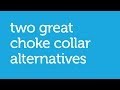 2 Alternatives to the Choke Collar for Loose Leash Dog Training (Petco) 2 Alternatives to the Choke Collar for Loose Leash Dog Training (Petco)