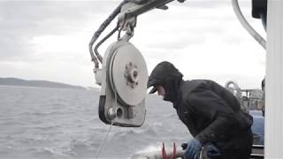 Marine Studies Initiative - Oregon State University