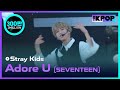 Stray Kids, Adore U(SEVENTEEN) [Jeju hallyu Festival 2018]