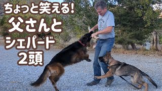 【ジャーマンシェパード】愛犬の一番にはなれないけれど、それもまた大切なポジションなのだ😊