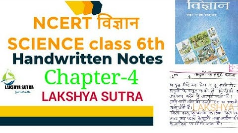 Ncert Class 6 Science Chapter #4 वस्तुओं के समूह बनाना by Lakshya Sutra