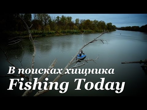 рыбалка спиннингом сегодня