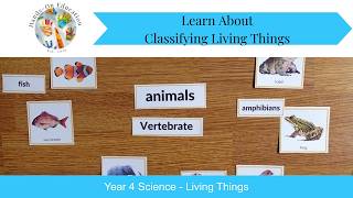Classifying Living Things | Year 4 STEM | Hands-On Education