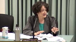 Enfield, CT, USA - Zoning Board of Appeals  - April 29, 2013