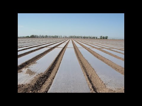 Видео: Електроцентрали: предимства и недостатъци