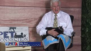 Pet Connection Ruby 4-16-25