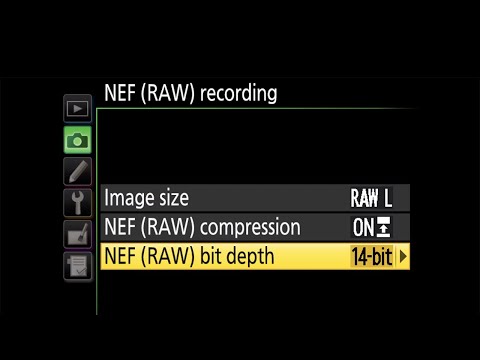 Camera Settings (Landscape Photography, Chapter 1.5)