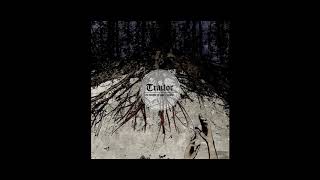 Download Lagu Barking Backwards/Traitor - Split (2013) hardcore punk | fastcore | grindcore | powerviolence crust MP3