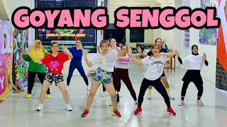 GOYANG SENGGOL | DANGDUT REMIX | SENAM KREASI | CHOREO ZIN CHICIE