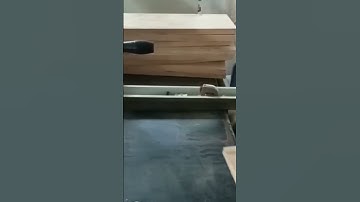 Máy cưa rong lưỡi dưới rong hàng siêu chính xác tại nhà máy khách hàng Đồng Nai #shorts #ripsaw