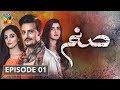 Sanam episode 1 hum tv drama