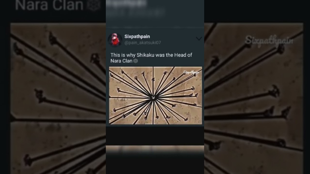 This is why Shikaku was the head of the Nara Clan🍜