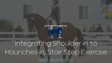Integrating Shoulder in to Haunches in, Stair Step Exercise with Montana