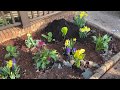 Front Yard Flower Garden