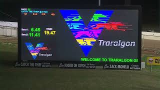 TRA WED 07 FEB 24 R11