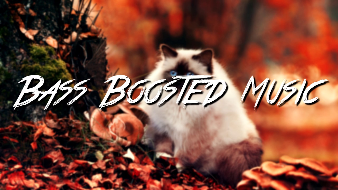 Lost Kings Phone Down (TRINIX Remix) (Bass Boosted) YouTube