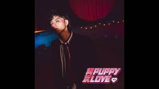 193 - 再次PuppyLove 純音樂伴奏