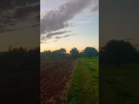 Tamazight Online With Top Izlan Oumguil