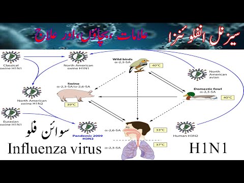 influenza |سیزنل انفلوئنزا
