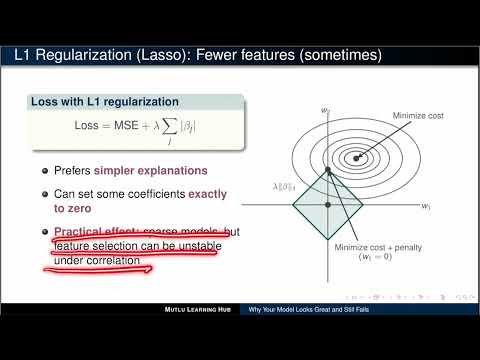 Regularization Explained | L1 vs L2 vs Elastic Net