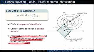 Regularization Explained | L1 vs L2 vs Elastic Net