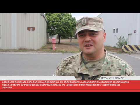 ქართველმა სამხედროებმა აშშ-ის ბაზაზე ინსპექცია ჩაატარეს