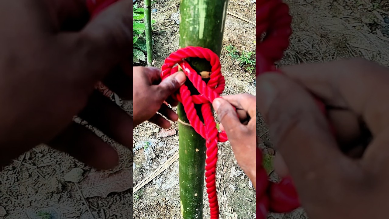 Wow.. This smart knot!!