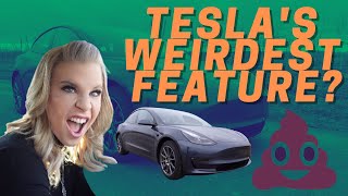Tesla Model 3's crazy horn sounds, cool features!