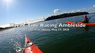 Sea Kayak Tide Racing at Ambleside Beach, Max Ebb 5.6kt, May 17, 2026
