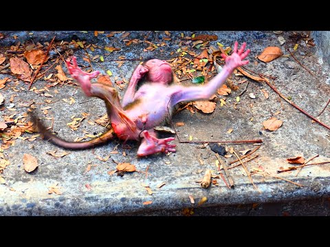 Update New Action Unbelievable Pooorest Newborn Baby Why Mom Do This To New Baby