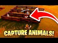 How to Build An Animal Farm in LEGO Fortnite! (Capture Animals)