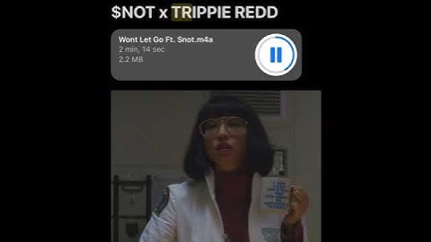 $NOT - Wont Let Go ft Trippie Redd (Unreleased)