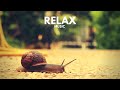 Релакс музыка для снятия стресса ▪️ Slow Motion (No Stress Relaxing Music)