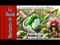 𝗟𝗲 𝘃𝗼𝘆𝗮𝗴𝗲 𝗱𝘂 𝗣𝗮𝗽𝗶𝗹𝗹𝗼𝗻 ✭Kamishibaï ✭Histoire pour enfants