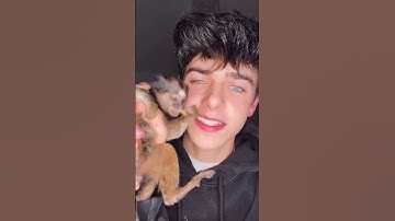 Kyle Thomas 💙 ALL of my animals LOVE worms 🪱😂 #kylethomas #shorts