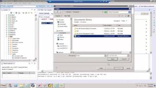 Famous SAP HANA - Data Load Wealth