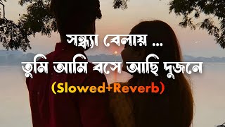 Sondhya Belay ~ সন্ধ্যা বেলায়, তুমি আমি বসে আছি দুজনে ll (Slowed Reverb) ll Asha Bhosle ll Lofi