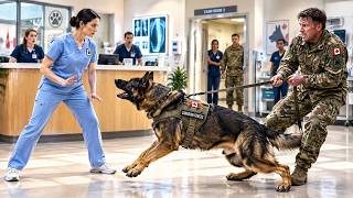 Information The Veteran Doubted the Quiet Vet Tech — Until Her Military K9 Training Exposed a Buried Secret News