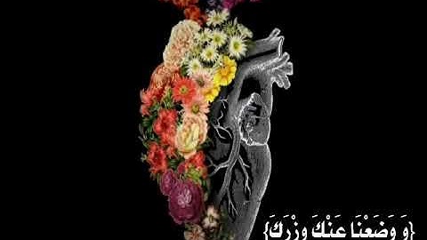 سورة الشرح بصوت القارئ {هزاع البلوشي} صوت يطمئن به القلب ....😻🌼