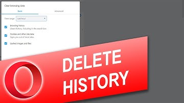How to Delete Browsing History, Cookies and Cache in Opera