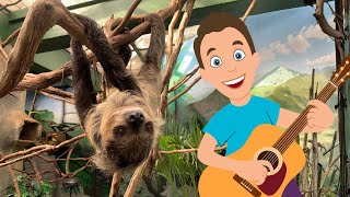 Sloths Move Slowly