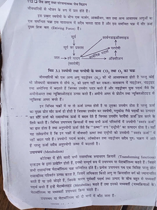 Basic Concept Of Metabolism And Inter Connection Reaction Of Metabolism basic-concept-of-metabolism-and-inter-connection-reaction-of-metabolism