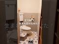 築60年の昭和トイレを、DIYリノベで劇的改装。