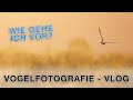 So gehe ich bei der Vogelfotografie vor - VLOG Spanien