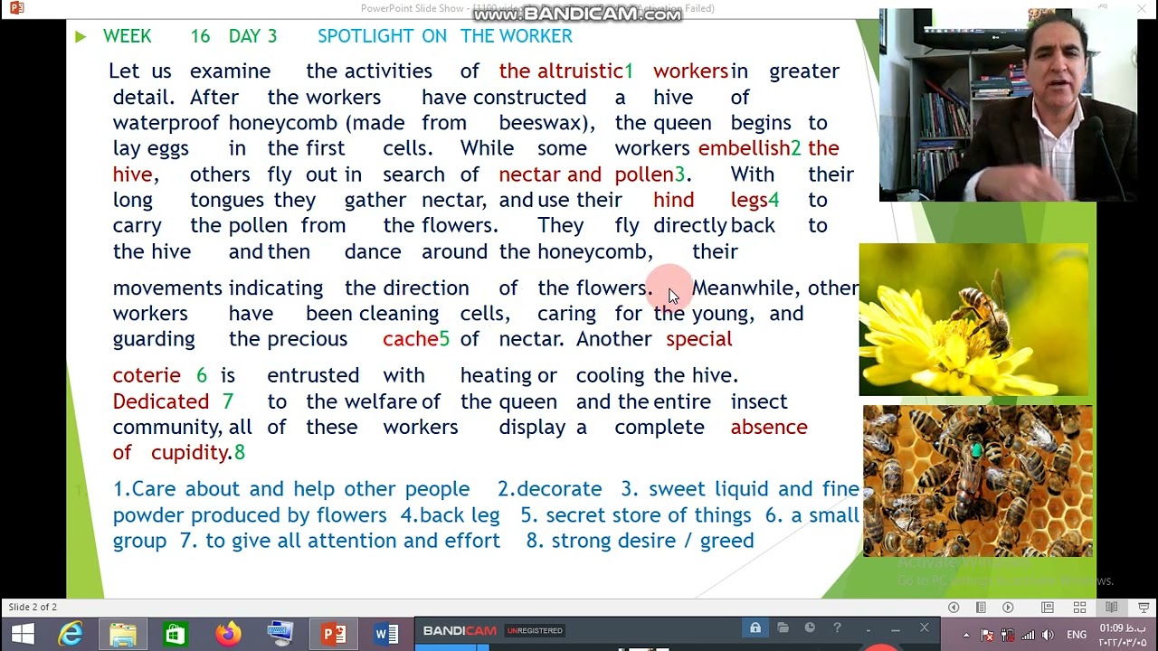 1100Words you need to know