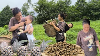 Single mother who is mute: planting, harvesting peanuts to sell and her child's footsteps